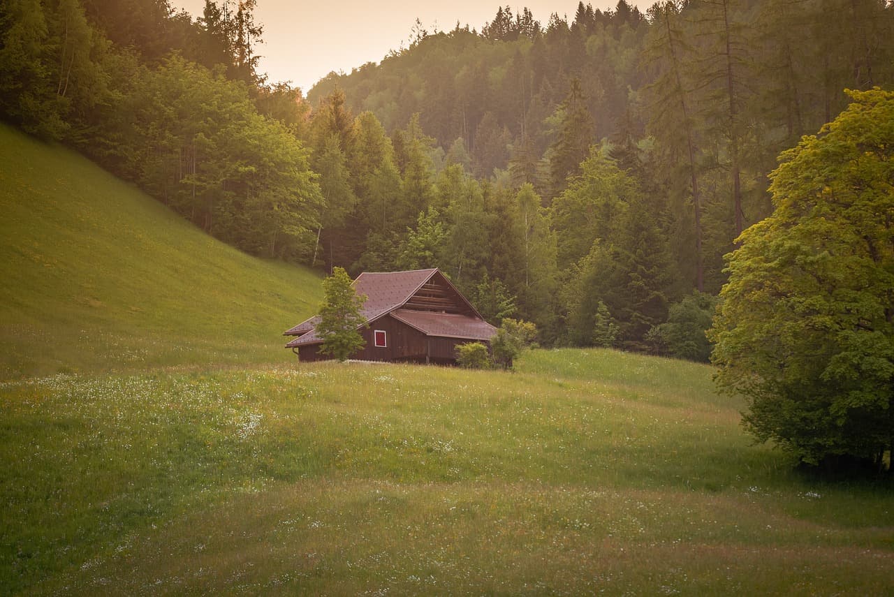 Wooden cabin in a meadow surrounded by forest