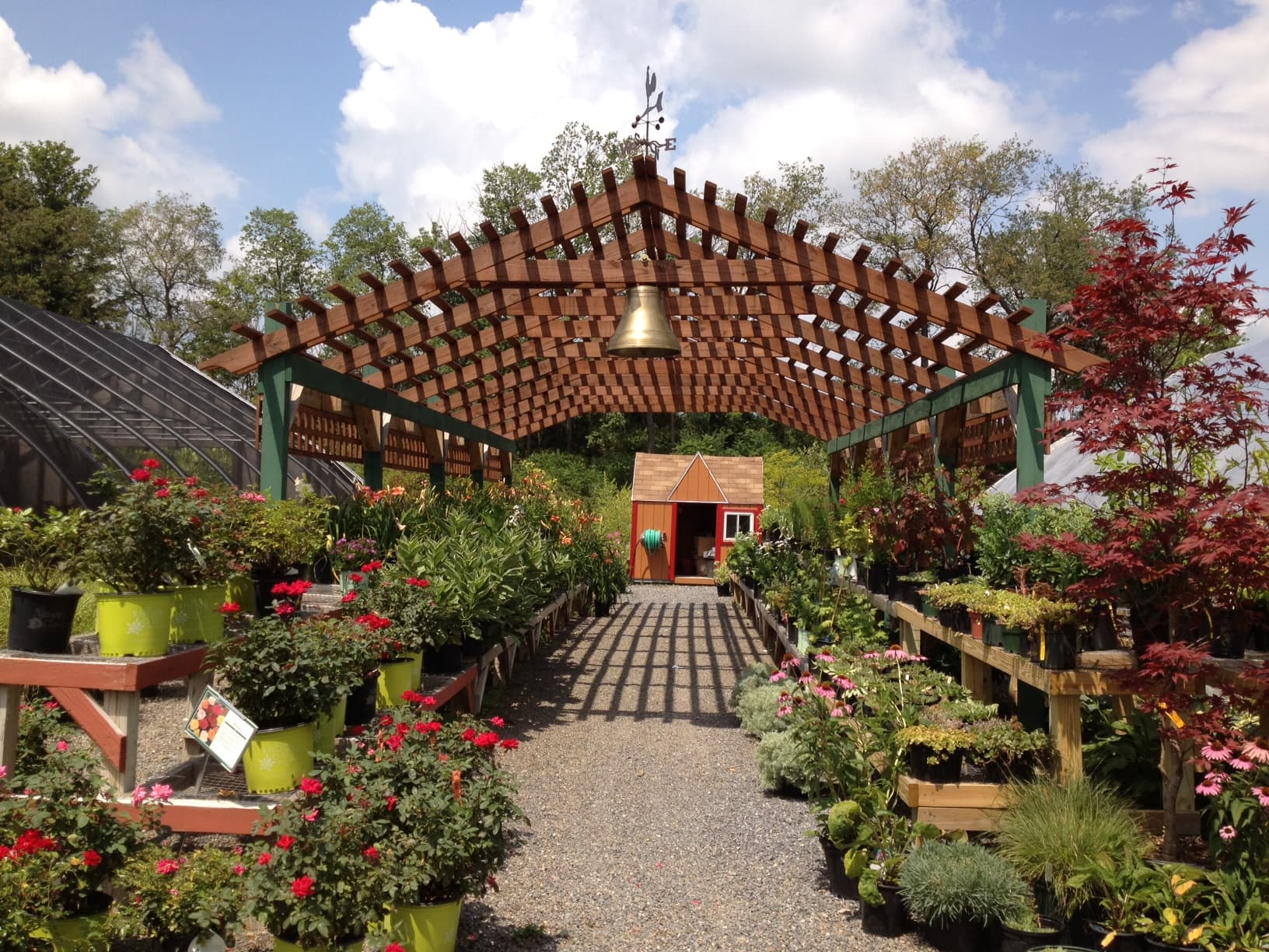 Cottage in an apple garden.