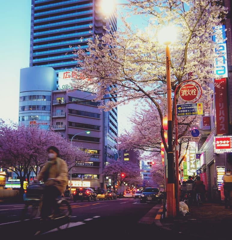 Toky City Apartments