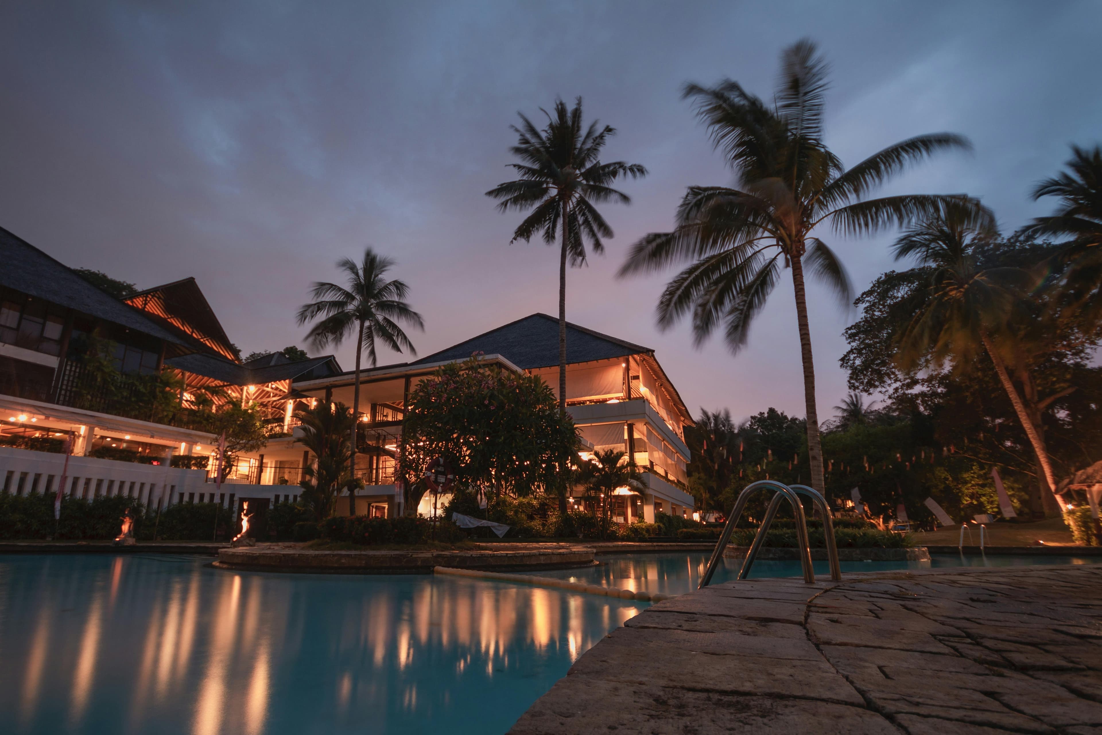 Palm trees at night