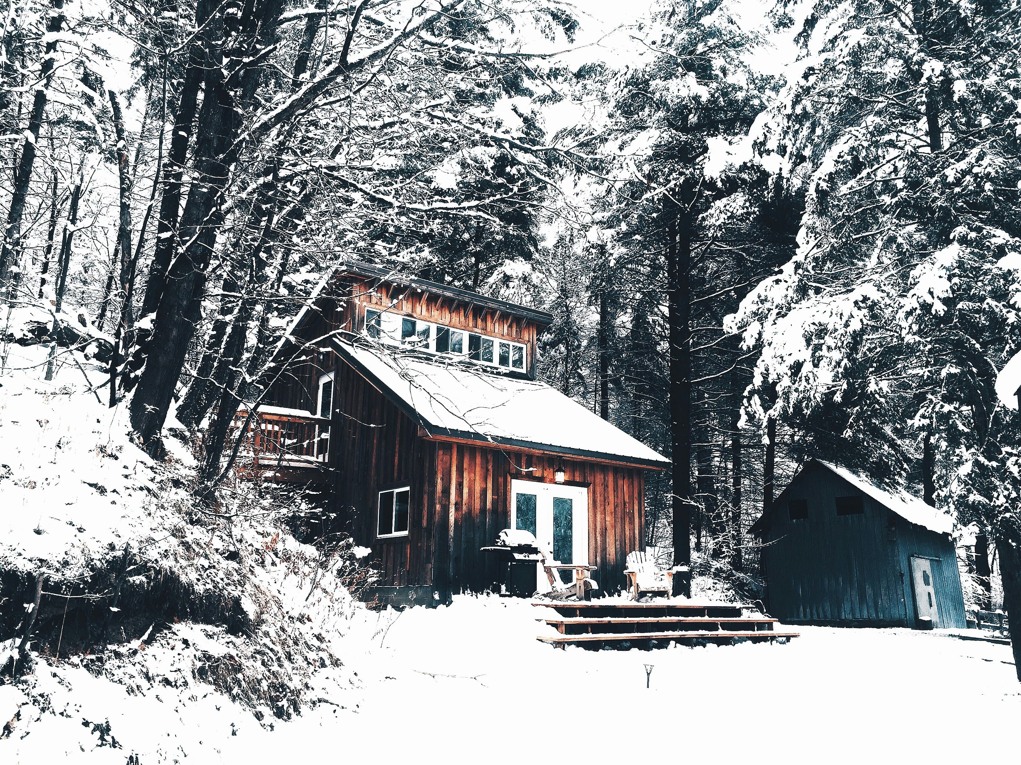 Snowy Woods Cabin