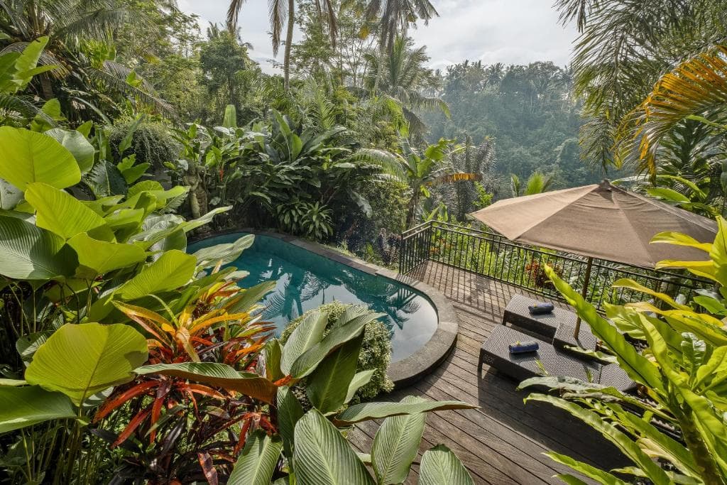 Bali dream stay
