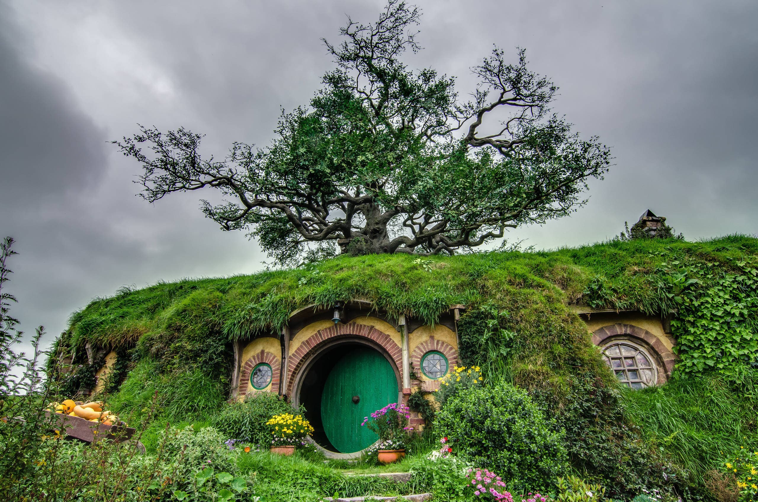 Hobbit Hole