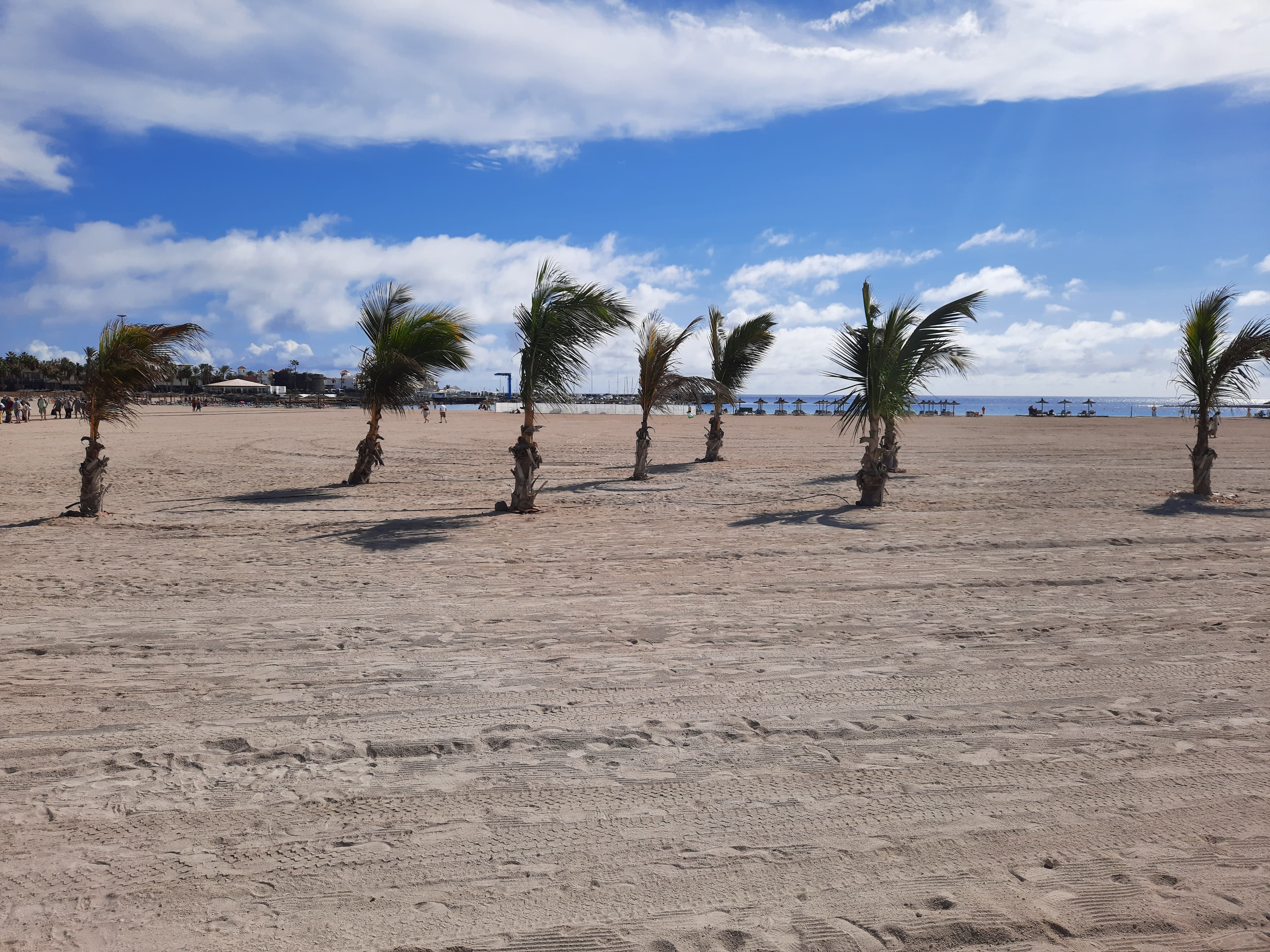 A wonderful place under the sun